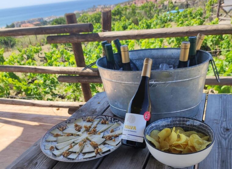 manilva-nilva-vineyard-wine-tasting-tapas-guided-tour