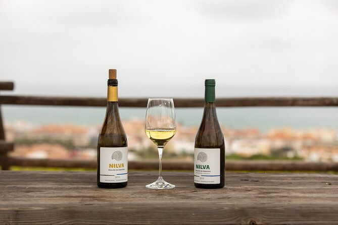 manilva-oceanfront-wine-experience-in-the-marbella-area