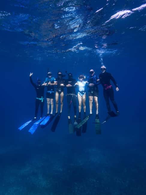 Manly: Beginner Freediving: Breath-Hold & Ocean Exploration - An In-Depth Look at the Experience