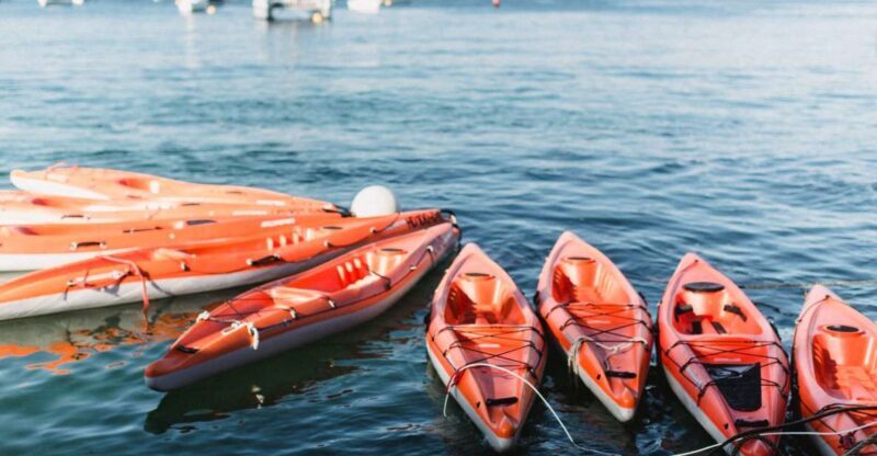 Manly: Mini Kayak Tour on Sydney's North Harbour - Key Points