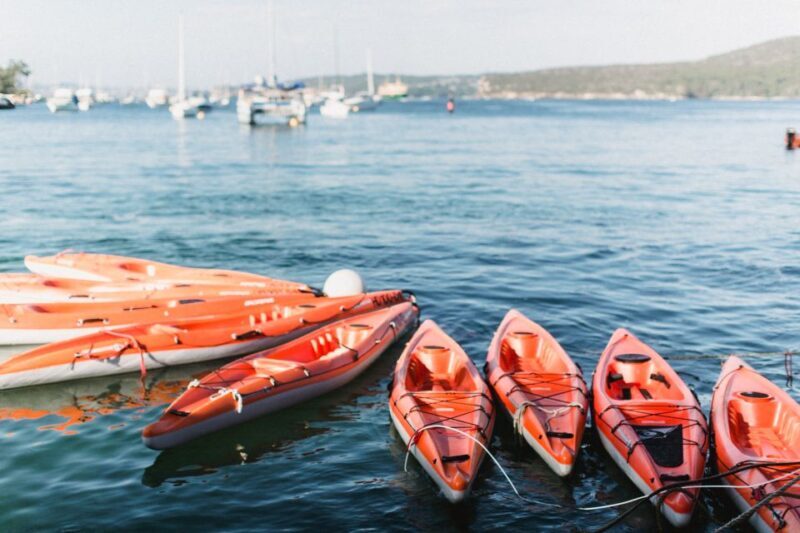 Manly: Mini Kayak Tour on Sydney's North Harbour - The Value of the Experience