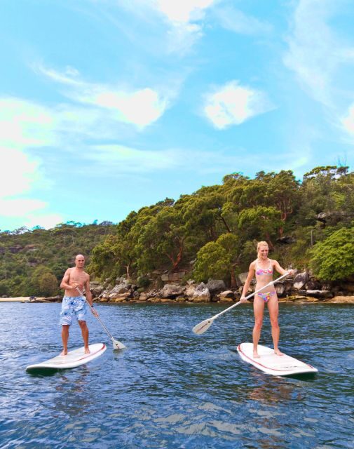 Manly Stand Up Paddle Board Hire - Practical Details: What You Need to Know