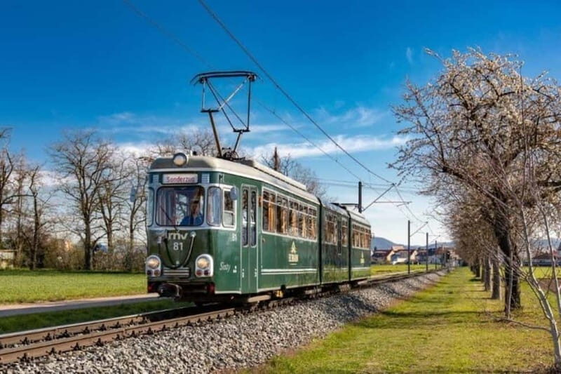 Mannheim: City tour with the historic streetcar - Why the Mannheim Streetcar Tour Stands Out