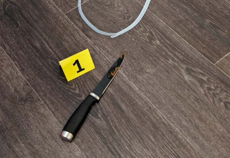 Mannheim, guided walking tour: Crime Scene Mannheim - FAQ: Your Practical Questions Answered
