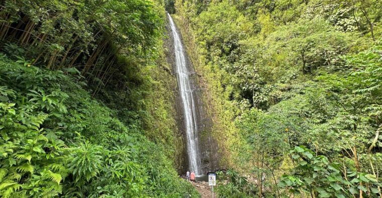 manoa-falls-ebike-to-hike