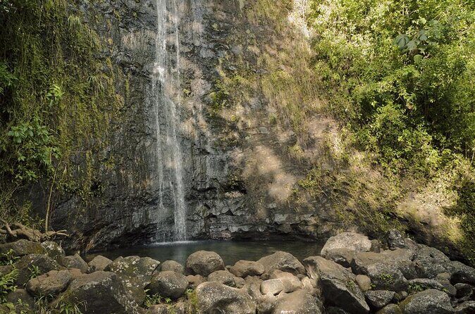 Manoa Waterfall Hike From Waikiki With Healthy Lunch Included - Exploring the Manoa Waterfall Hike From Waikiki With a Healthy Lunch