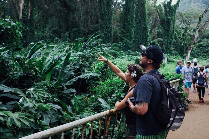 Manoa Waterfall Hike From Waikiki With Healthy Lunch Included - Who Should Consider This Tour?