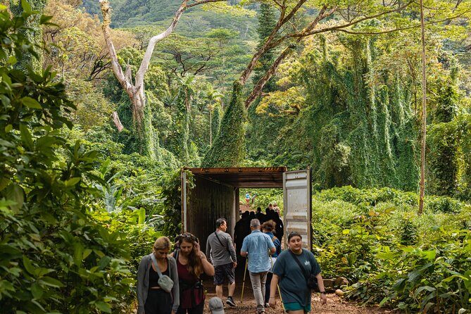 Manoa Waterfall Hike From Waikiki With Healthy Lunch Included - Wrapping It Up