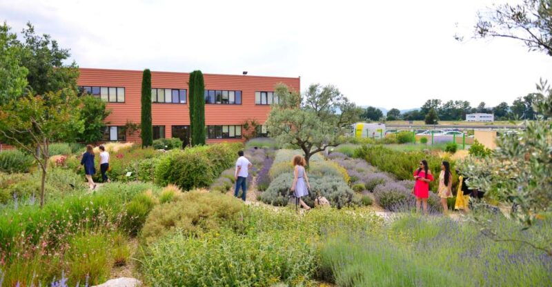 Manosque: L'Occitane en Provence Guided Factory Tour - Final Thoughts