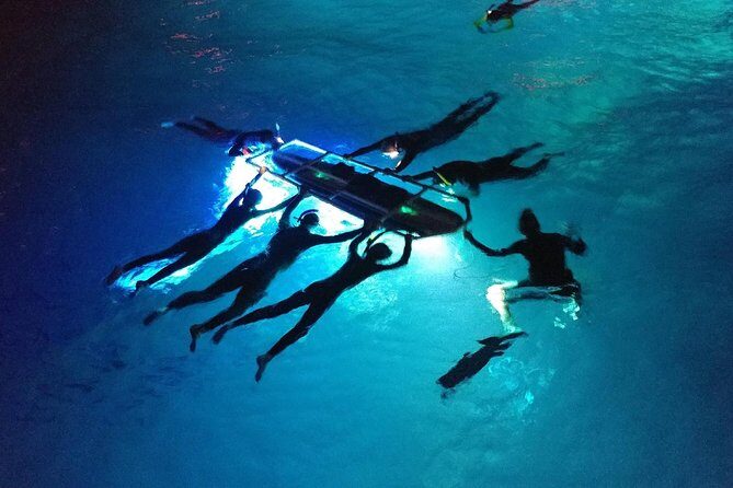 Manta Mania - Manta Ray Night Snorkel - Small-Group Experience In Kona, Hawaii - Who Is This Tour Best For?