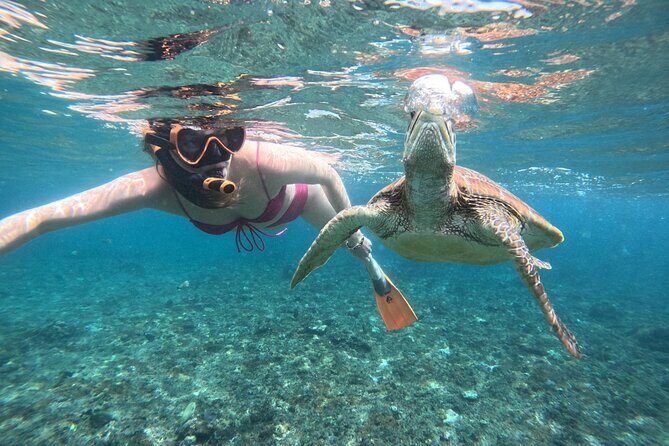 Manta Ray Snorkeling From Bali - FAQ: Your Practical Questions Answered