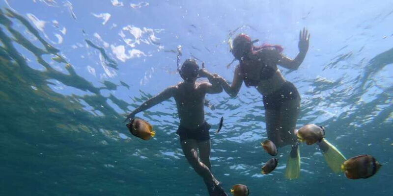 manta-tour-in-nusa-lembongan-and-nusa-penida