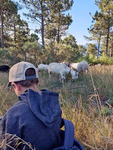 manteigas-serra-da-estrela-shepherd-path-hike-with-shepherd