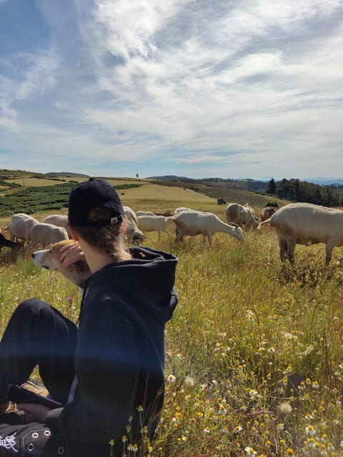 manteigas-serra-da-estrela-shepherd-path-hike-with-shepherd