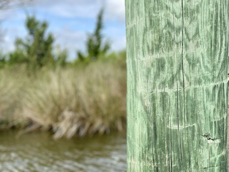 manteo-outer-banks-ghost-walking-tour