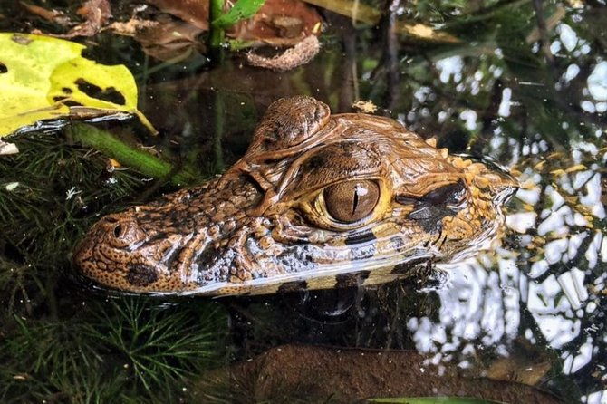 manu-adventure-4-days