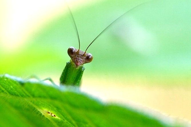 manu-adventure-4-days