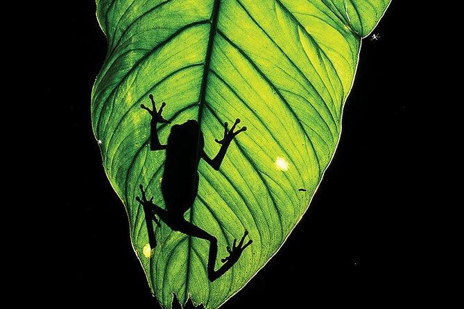 manu-adventure-4-days