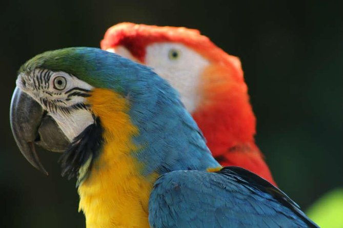 manu-adventure-4-days