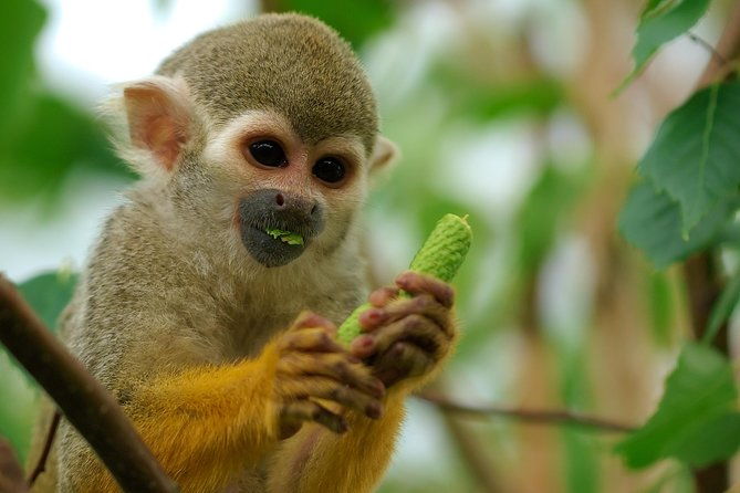 manu-adventure-4-days