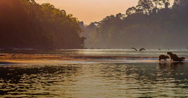 manu-jungle-tour-3-days-2