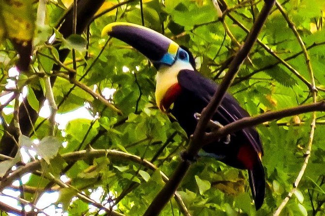 manu-jungle-tour-3-days