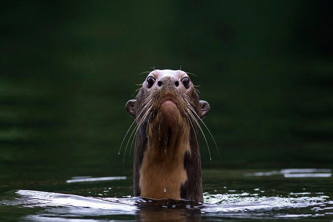 manu-jungle-tour-3-days