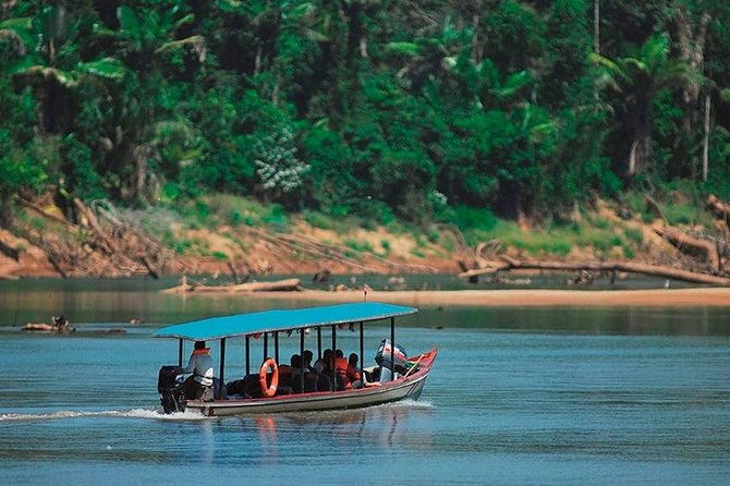 manu-jungle-tour-4-days-2