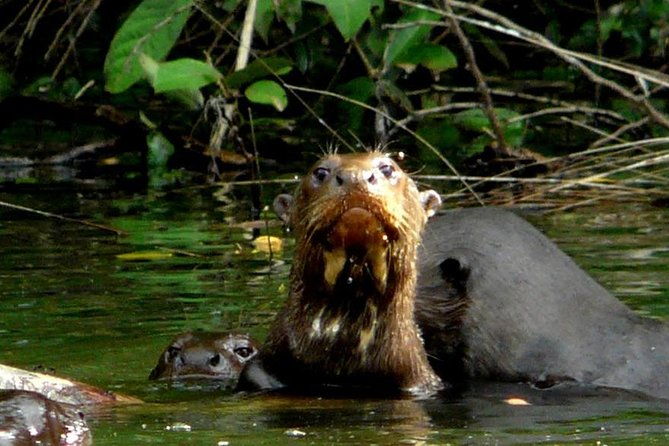 manu-jungle-tour-4-days-2