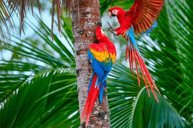 manu-jungle-tour-4-days