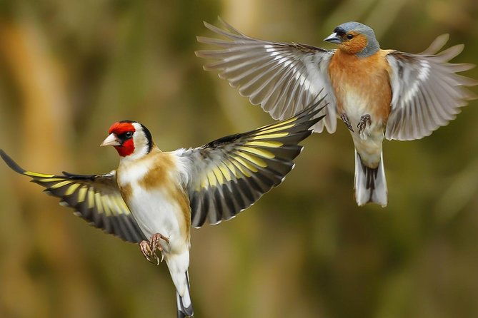 manu-jungle-tour-4-days