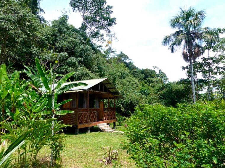 manu-jungle-tour-5-days