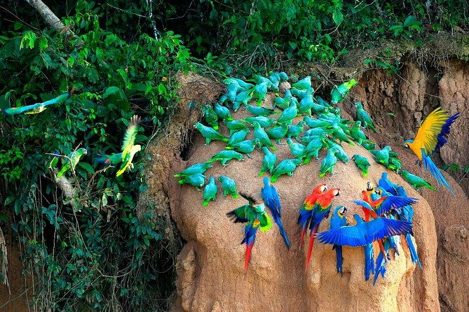 manu-national-park-tour-4days-3night