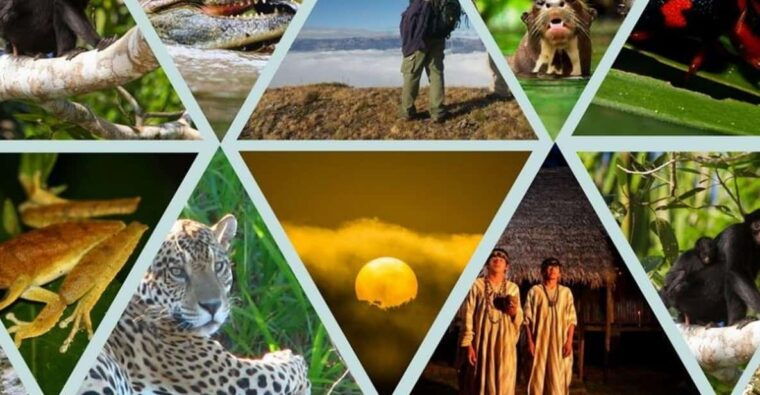 manu-park-paucartambo-pilcopata-3-days-includes-food