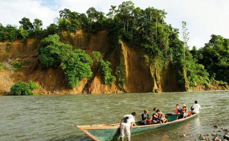 manu-rainforest-tour-6-days