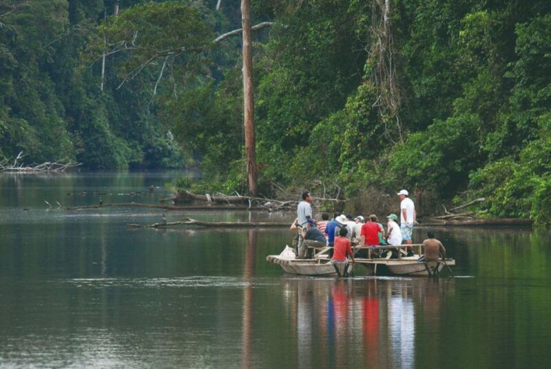 manu-rainforest-tour-6-days