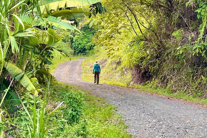 manuel-antonio-esquipulas-birdwatching-tour