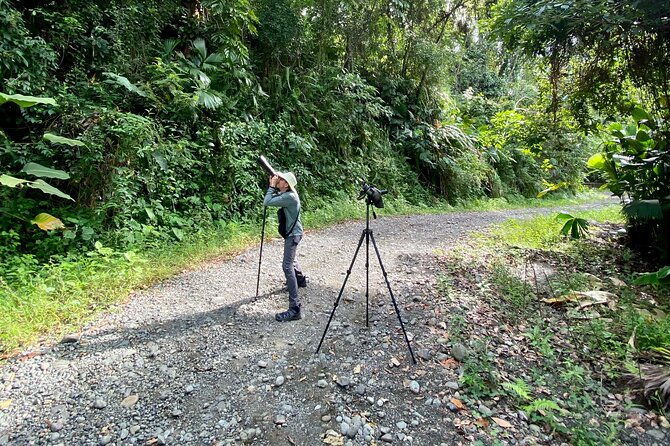 manuel-antonio-esquipulas-birdwatching-tour