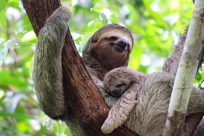 manuel-antonio-national-park-2