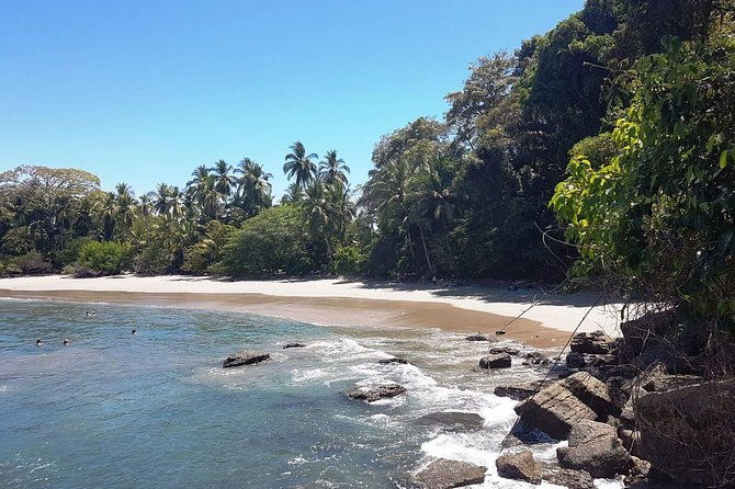 manuel-antonio-national-park-beach-sightseeing-day-trip-from-san-jose