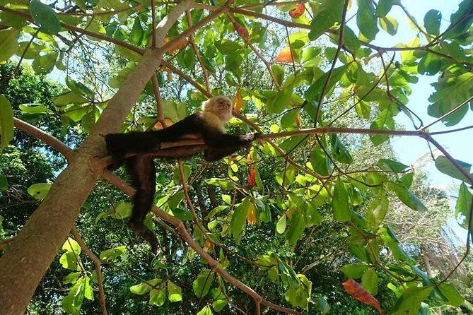 manuel-antonio-national-park