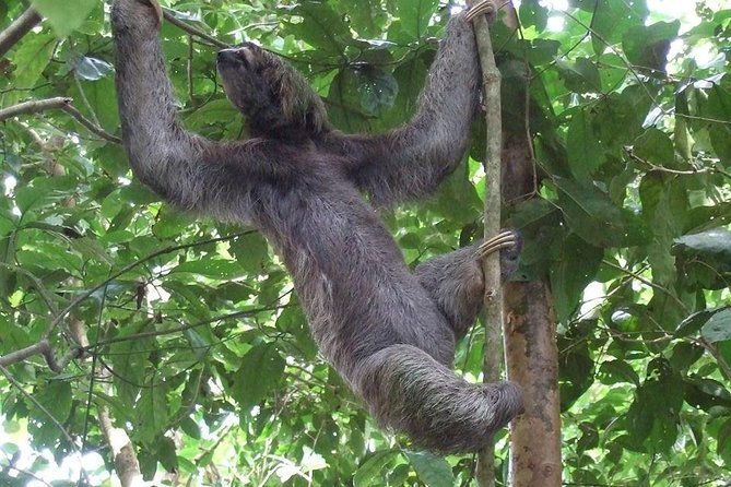 manuel-antonio-national-park