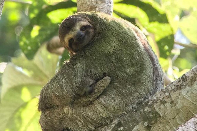 manuel-antonio-national-park-group-guided-tour