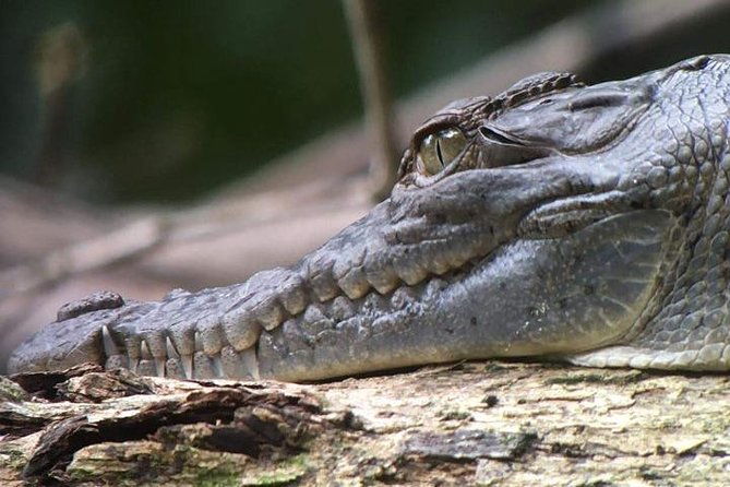 manuel-antonio-national-park-guided-tour