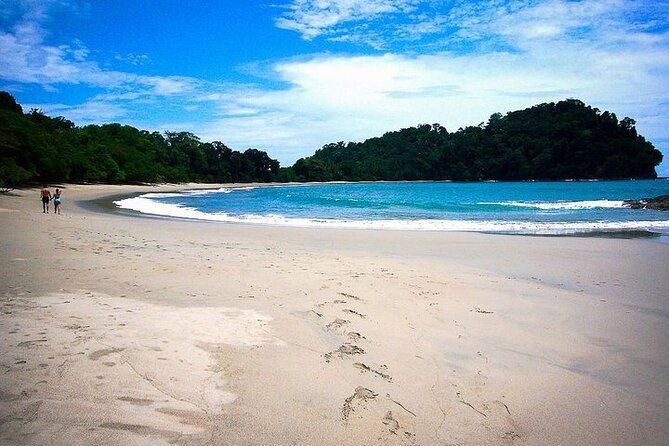 manuel-antonio-national-park-guided-walk