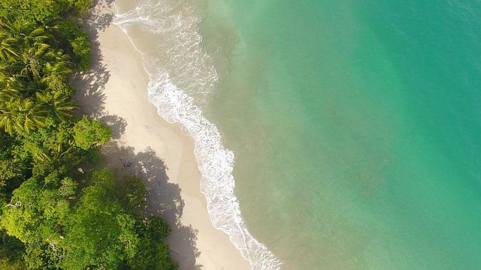 manuel-antonio-national-park-nature-walk