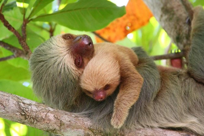 manuel-antonio-national-park-one-day-tour-from-san-jose