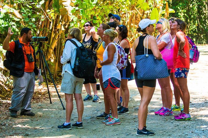 manuel-antonio-national-park-private-day-tour-from-jaco-2