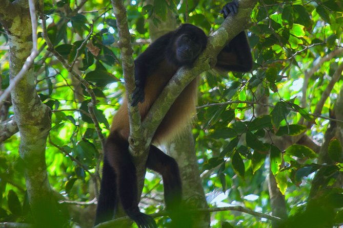 manuel-antonio-national-park-tour