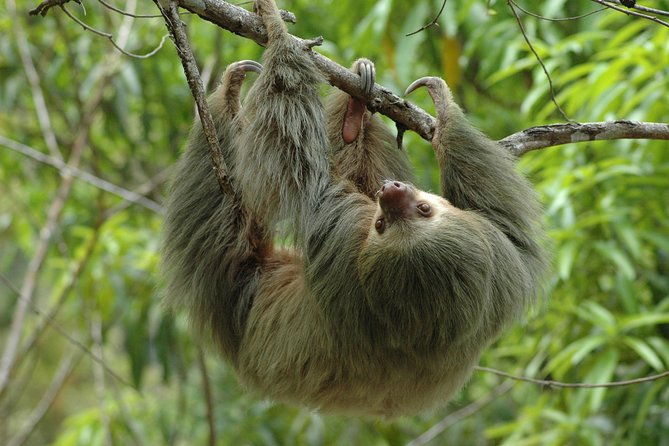 manuel-antonio-national-park-tour-from-uvita